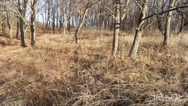 Экскурсия где мы живём.Всех с Николаем Чудотворцем!Здоровья, счастья,семейного благополучия!!! смотреть онлайн