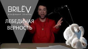 Песня "Лебединая верность". Владимир Брилёв. Лучший исполнитель России.