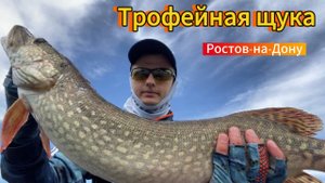 11.06.24 ЩУКА-КРОКОДИЛ!!! ТРОФЕЙ В ГОРОДЕ!!!