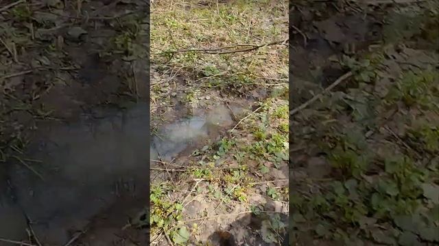 строчки гигантские смотреть онлайн