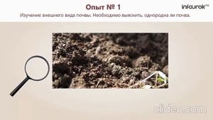 Что такое почва?