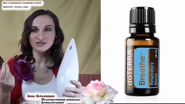КАК ГАРМОНИЗИРОВАТЬ ОТНОШЕНИЯ В СЕМЬЕ. ДИФФУЗОР - ПОГОДА в доме. №10. Психолог Анна Курьянович.