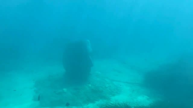 Île Sainte-Marguerite, Cannes 2021 смотреть онлайн