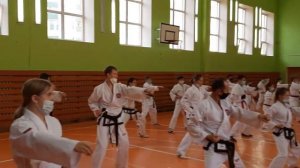 Семинар по Тхэквондо ГТФ