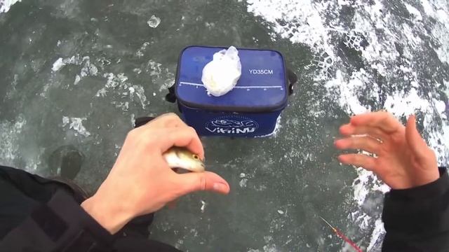 Окунь. Тростенское озеро. Январь 2020 смотреть онлайн