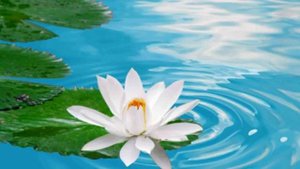 Китайская Мантра