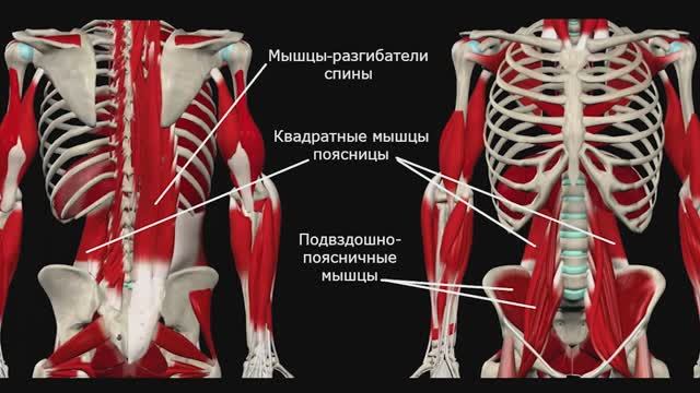 зож_020 Ку Аль о здоровом образе жизни_21-08-2021