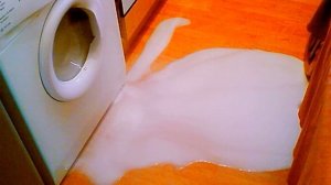 Вода под стиральной машиной - что делать