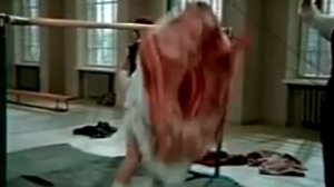 Мадам Брошкина.avi