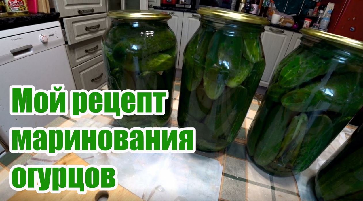 Как переработать огурцы
