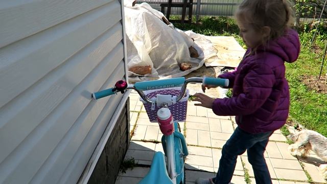 VLOG: Садовые работы 13.05.2017 смотреть онлайн