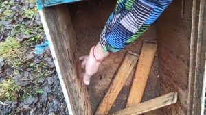 Улей из ДВП для пчел через 10 лет ОБЗОР. Как сделать улей своими руками из ДВП