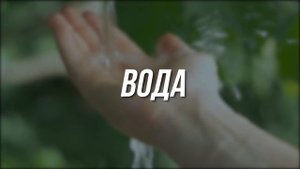 Эти 23 продукта для Растворения Тромбов в Сосудах советуют Флебологи! (Разжижение крови)