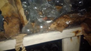 сталк за лабораторной посудой.mp4