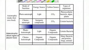 Introduction To Bacteria