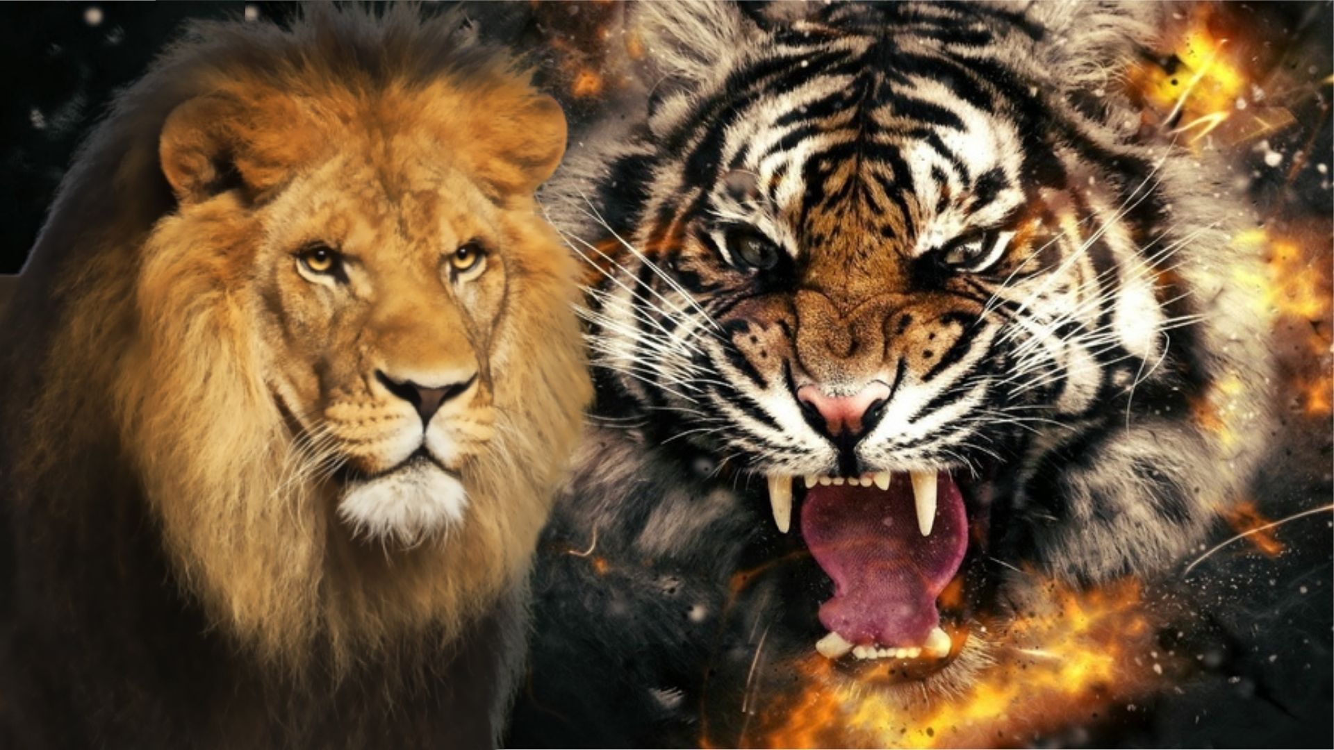 Что за тигр этот лев фраза. Че Лев этот тигр. Че за Лев этото тигр. Газан че за Лев этот тигр. Волк и Лев 2022.