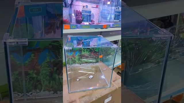 аквариум куб 20 литров смотреть онлайн