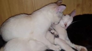 3 часа ночи, 30 мая 2023.