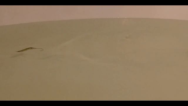 Abu Garcia Toby замедленная съёмка