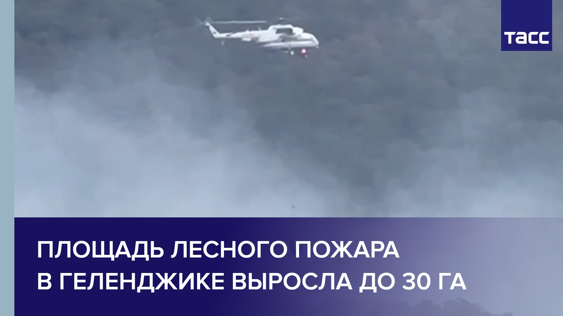 Площадь лесного пожара в Геленджике выросла до 30 га #shorts