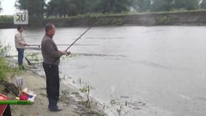 На реках Курганской области запрещена рыбалка: рыба ушла на нерест