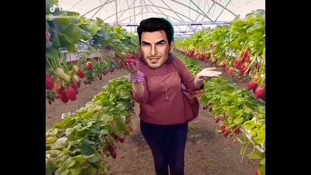 ОСТОРОЖНО СТЕКЛО/Клуб романтики/ Краши❤️❤️❤️❤️❤️❤️❤️❤️ смотреть онлайн