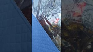 Баня морж-люкс с распашной дверцей, печь интент мини, каменка интент.