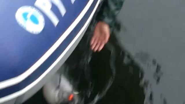 fishing 2016 in Kamchatka Chinook Рыбалка на Камчатке #рыбалка#камчатка#fishing смотреть онлайн