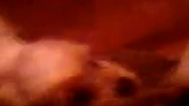 СМЕШНАЯ СОБАЧЁНКА смотреть онлайн