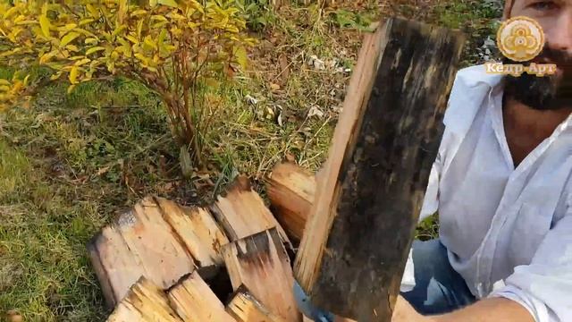 Эксперимент.  Раскалываем старое кедровое бревно.  #КедрАрт