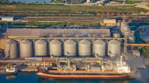 Западных зерновых трейдеров выгнали с российского рынка