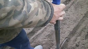 посадка озимого чеснока "Любаша" ручной сажалкой