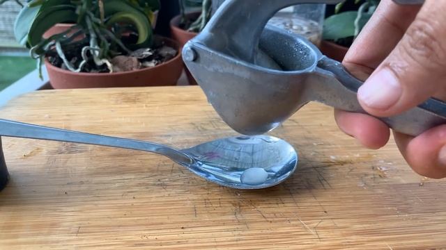 Replicating Orchids with Unique Method: Easier Than Ever Before смотреть онлайн