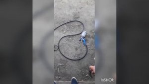 Как покрасить без компрессора колёса