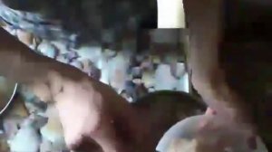 Как кормить щенка   (урок 5 часть 1)