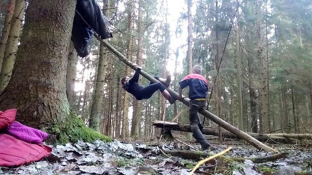 привет из леса игры смотреть онлайн