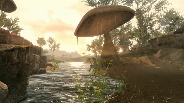 Morrowind - Peaceful Waters смотреть онлайн