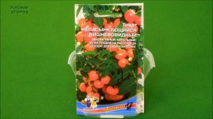 КАРЛИКОВЫЕ ТОМАТЫ! Нет дачи - посади на балконе! СОВЕТЫ от ЗЕЛЕНОГО ОГОРОДА!