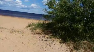 Minelab GO-FIND40 коп на пляже ладога