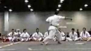 Йоко Гери -  Киокусинкай