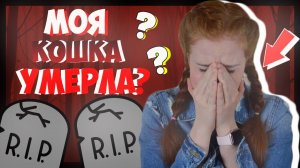 МОЯ КОШКА УМЕРЛА? ИСТОРИЯ ИЗ ЖИЗНИ.
