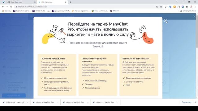 Как создать чат-бота в instagram директ. смотреть онлайн