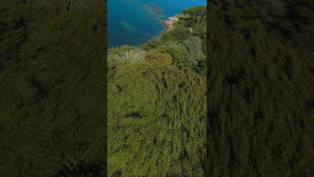 The DJI FPV Drone is actually a great drone! ? смотреть онлайн