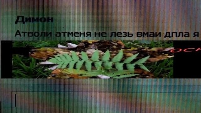 Грамотей! Лучше не писать,чем так ошибаться.