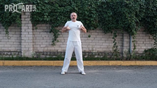 5 animals qigong wu qin xi Цигун Игры 5 зверей смотреть онлайн