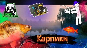 РР4/ рыбалка для души, ловим как универсал, общаемся 16.01.23