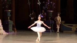 Daria Kulikova (Debut) - Princess Florine in Sleeping Beauty, Mariinsky Theatre