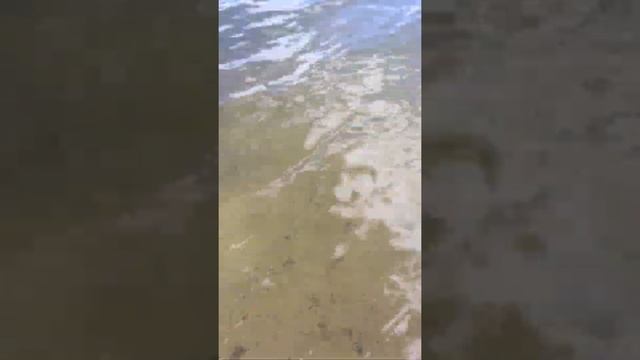 Озеро Юлово. Часть 2#озеро№Юлово№отдыхнаприроде№