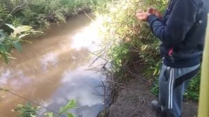 Рыбалка на паплавок ловим карася