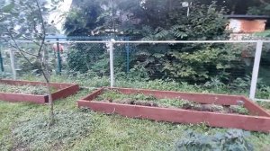 Сухой ручей своими руками .